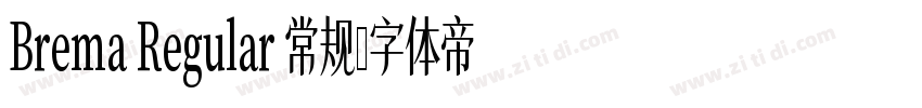 Brema Regular 常规字体转换